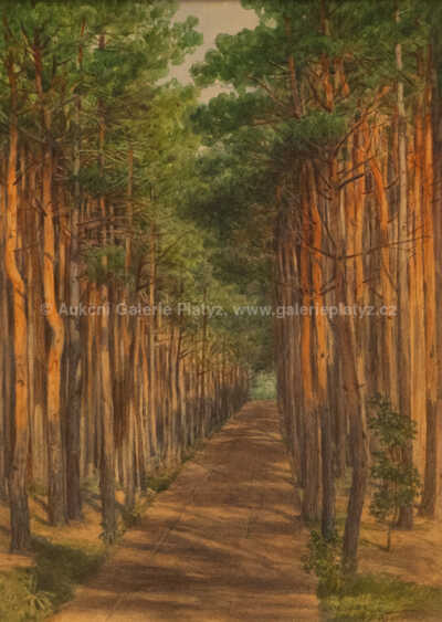  / Lesní cesta / Jan  Novopacký
