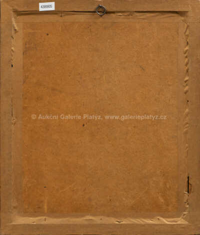  / Lesní cesta / Jan  Novopacký