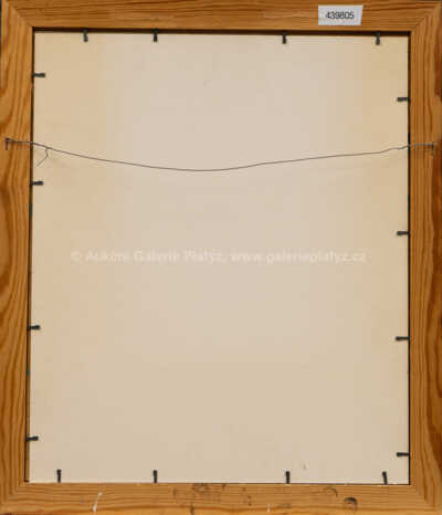  / Bruslaři / Iva Hüttnerová