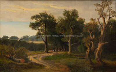  / U lesa / W. Werner