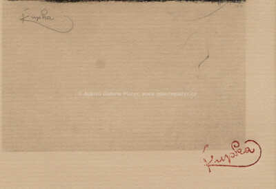  / Amorpha / František Kupka