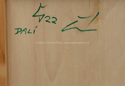  / Salvador Dalí / Ivana Štenclová