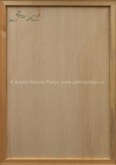  / Salvador Dalí / Ivana Štenclová