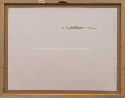  / Torzo ženy sehnuté k zemi / Olbram Zoubek