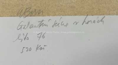  / Galantní scéna v horách / Adolf Born