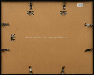  / Německý ohař / Zdeněk Burian