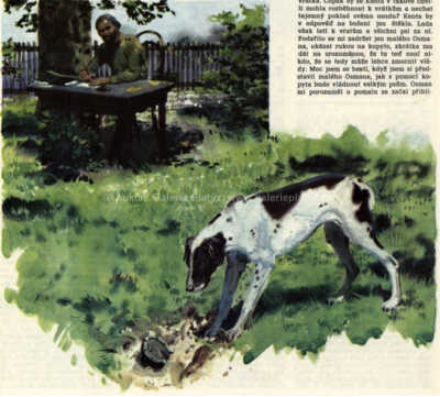  / Německý ohař / Zdeněk Burian