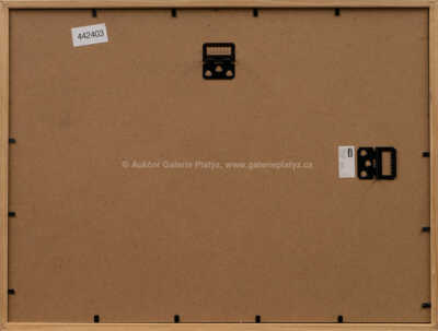  / Kamarádi z And / Zdeněk Burian