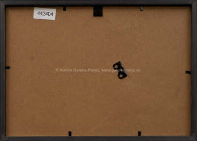  / Don Pablo / Zdeněk Burian