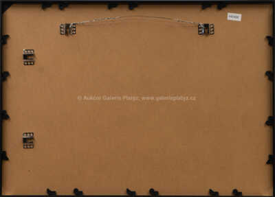  / Rychlé šípy ve Stínadlech / Marko Čermák