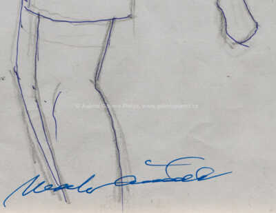  / Rychlé šípy / Marko Čermák