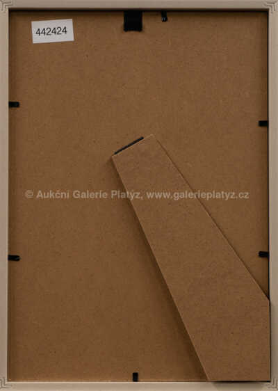  / Na Hrádečku / František Ringo Čech