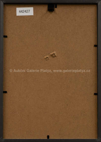  / Paroháč / Jiří Winter Neprakta