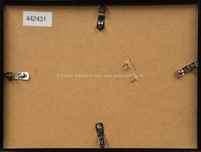  / Vogue / Adolf Born