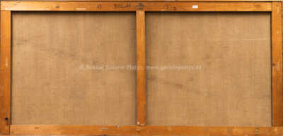  / Bílý akt / Oldřich Oplt