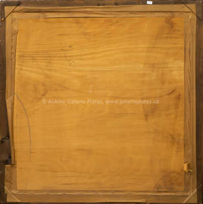  / V lese / Jiří Židlický