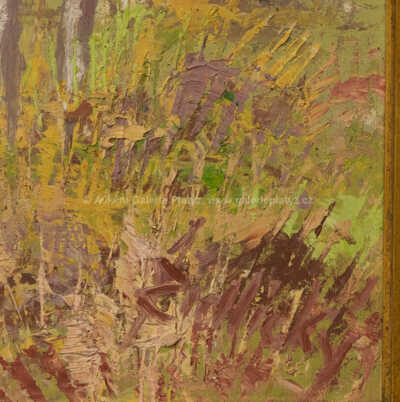  / Bažanti / Jiří Židlický