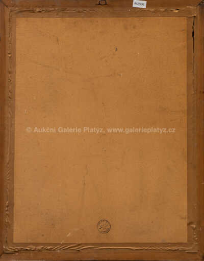  / Muflon / Jiří Židlický