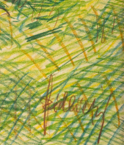  / Srnec / Jiří Židlický