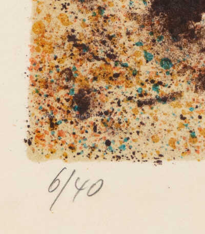  / Dravec / Adolf Born