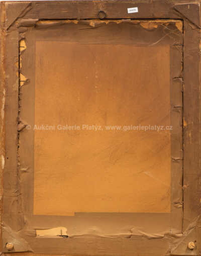  / Luční kvítí / Alois Schneiderka