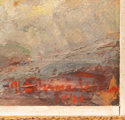  / Luční kvítí / Alois Schneiderka