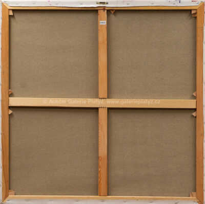  / Mona Číča / Josef Rataj