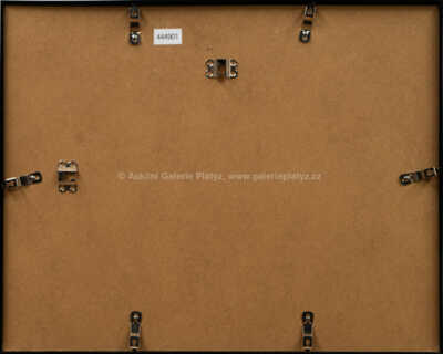  / Marie Pet / Jan Saudek