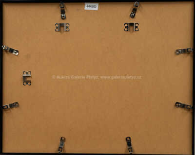  / Mandoline Lesson / Jan Saudek