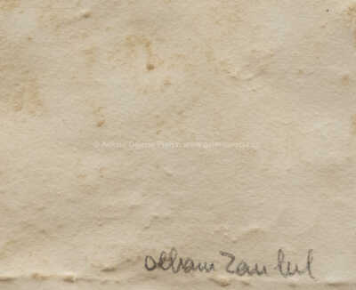  / Torzo / Olbram Zoubek