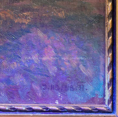  / Na Poličsku /  Josef Holub