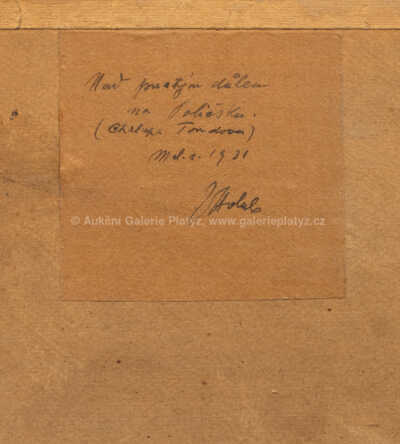  / Na Poličsku /  Josef Holub