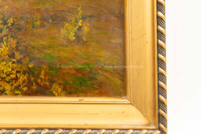  / Z Povltaví /  Josef Holub