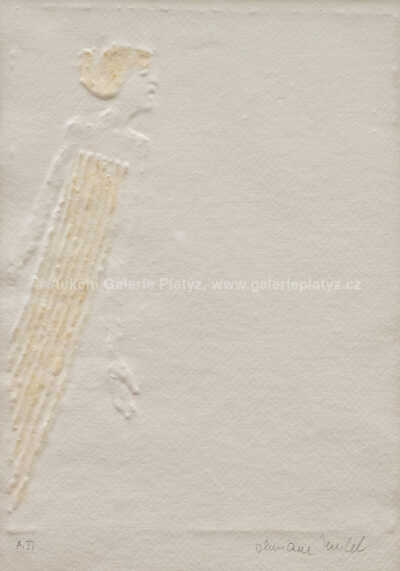  / Evo! / Olbram Zoubek