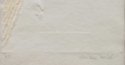  / Evo! / Olbram Zoubek