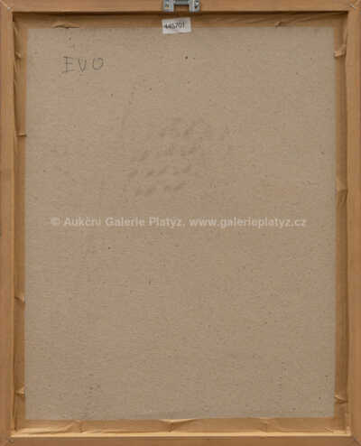  / Evo! / Olbram Zoubek