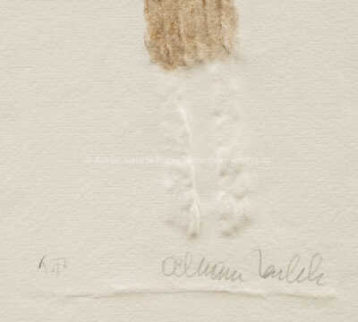  / Klíčnice pravá a levá - konvolut dvou kusů / Olbram Zoubek