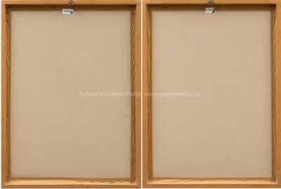  / Klíčnice pravá a levá - konvolut dvou kusů / Olbram Zoubek