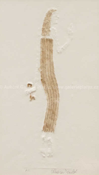  / Klíčnice pravá a levá - konvolut dvou kusů / Olbram Zoubek