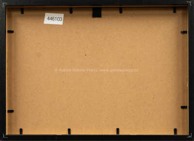  / Čistič bot / Adolf Born