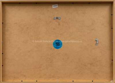  / Dear Future / Pasta  Oner