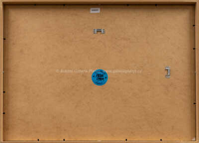  / God saves we spend / Pasta  Oner