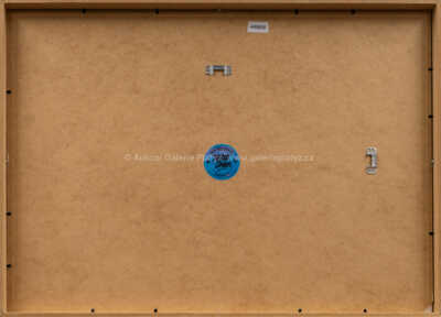  / You are a Grownup / Pasta  Oner