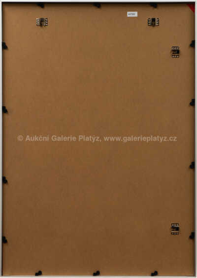  / Succes is the best revange / Pasta  Oner