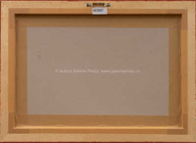  / Pohled od Karlova mostu / Ferdinand Kotvald