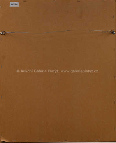  / Moje první fotografie... / Jan Saudek