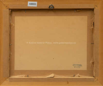  / Nálada před bouří / Ota Bubeníček