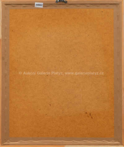  / Pták v břiše kočky / Adolf Born