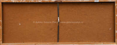  / Vesnická stavení / František Emler