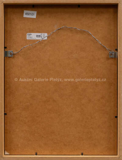  / Dva šílení brankáři / Josef Hlinomaz